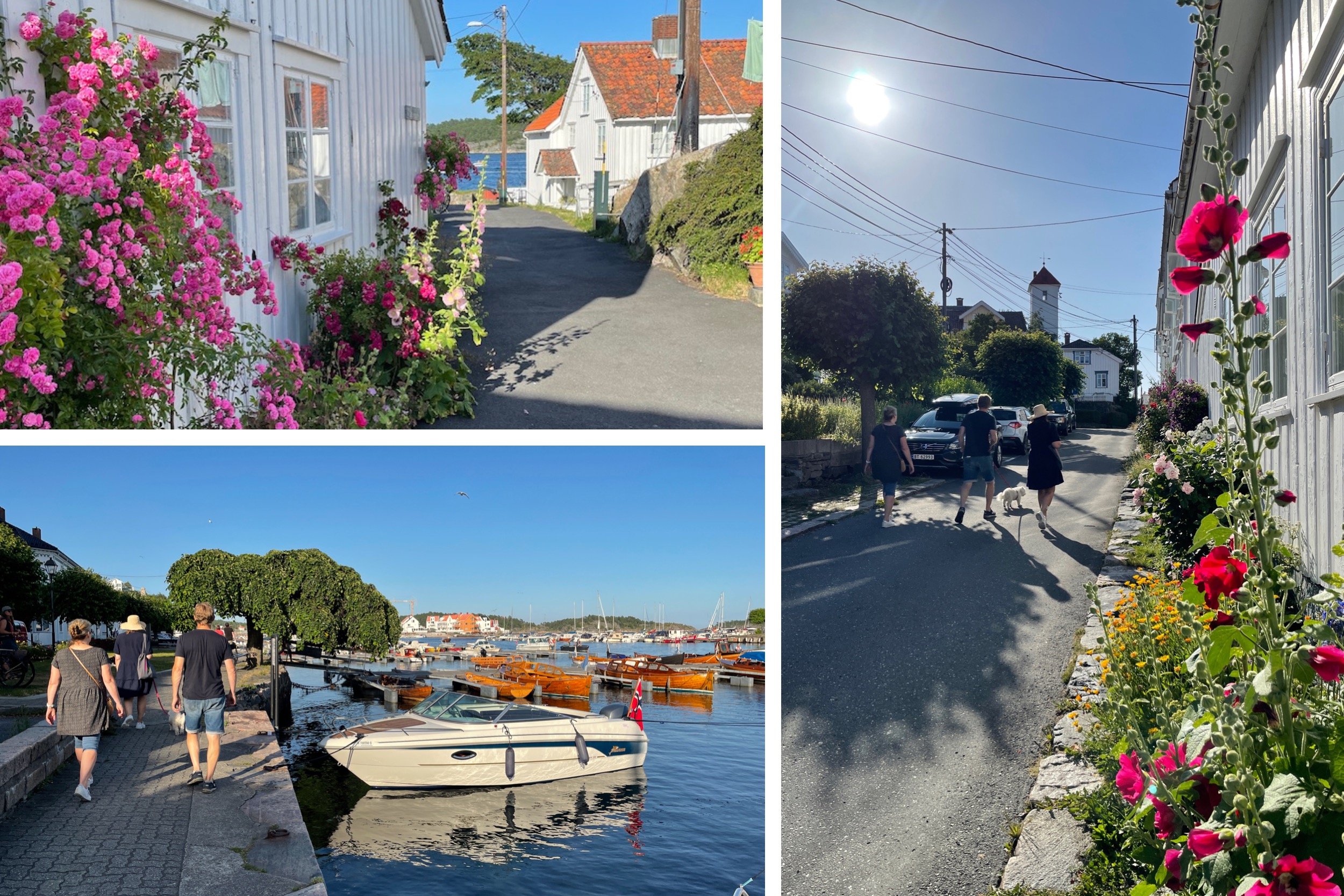 b909-risorholmen39.jpeg